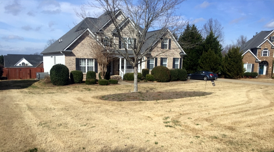 landscaping service in five forks sc